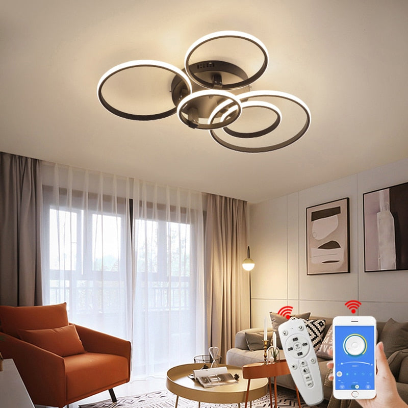 Harmony Rings Led Ceiling Light