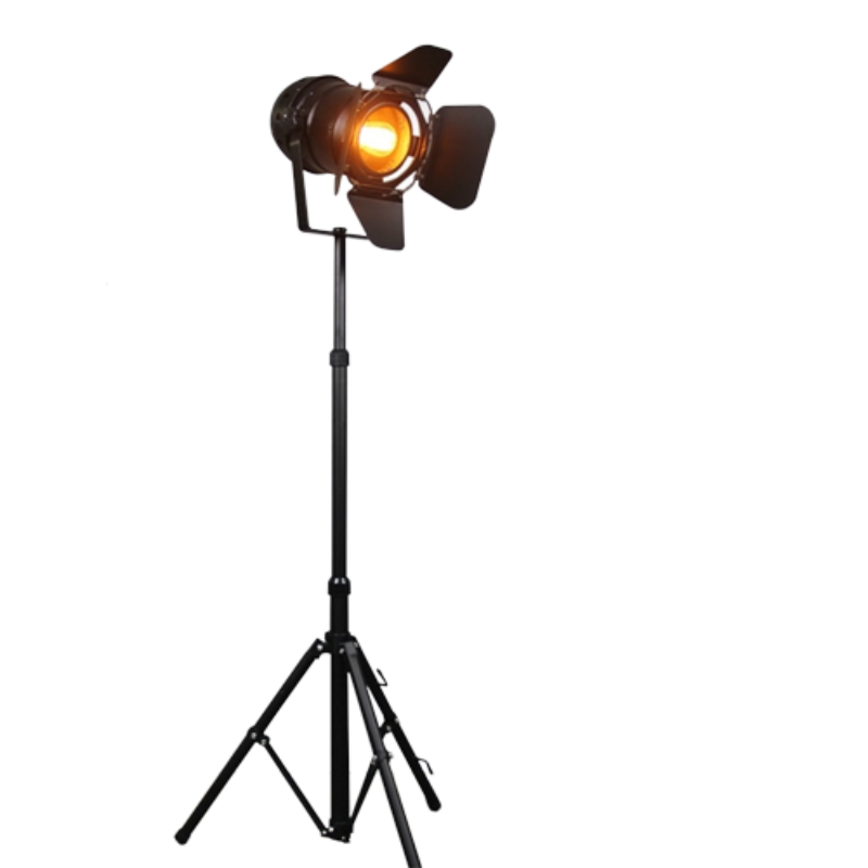 Retro Tripod Single Head Floor Lamp