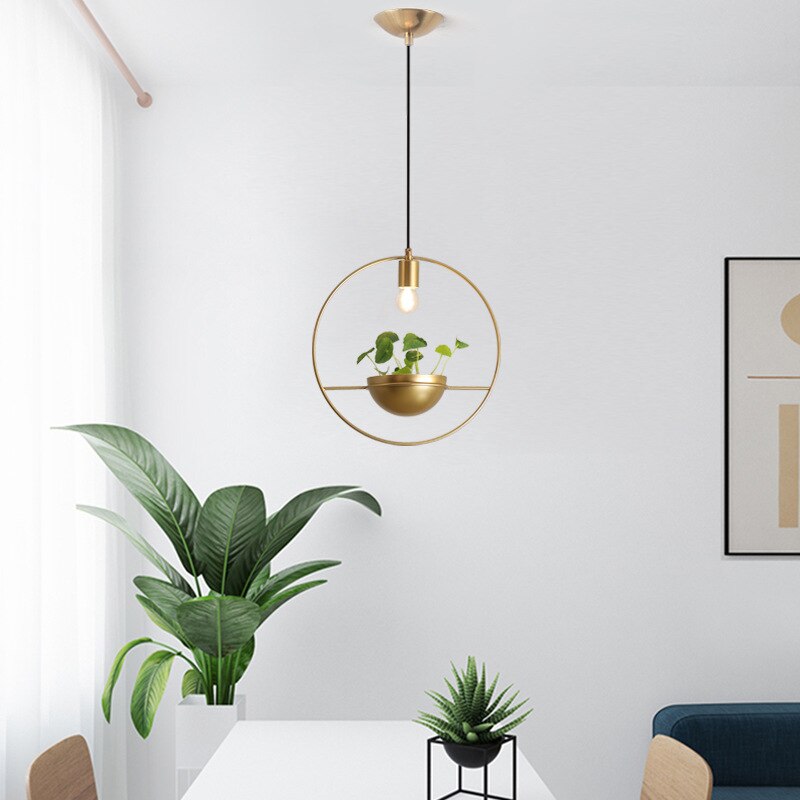 The Solen Pendant Light