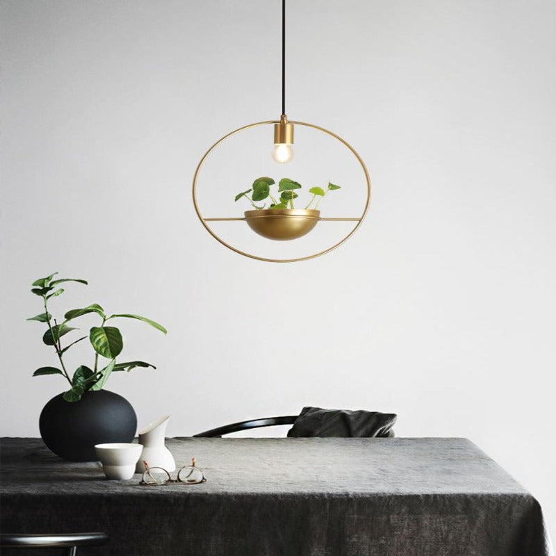 The Solen Pendant Light